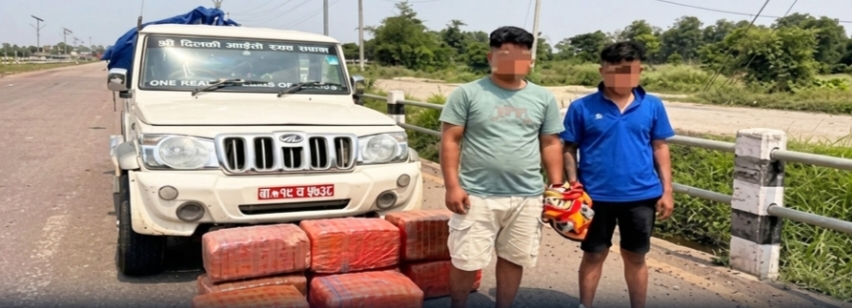 पर्सामा १०९ किलो गाँजासहित बोलेरो पिकअप र दुई जना पक्राउ