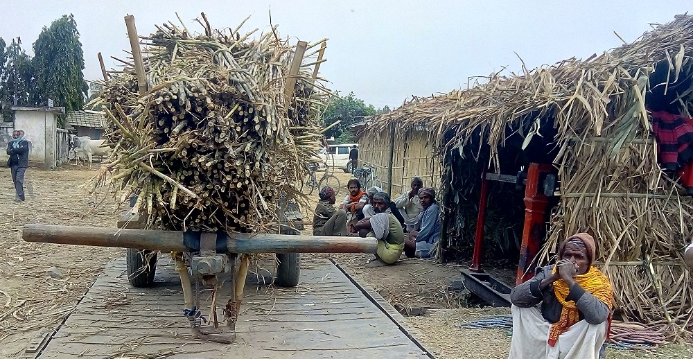 उखु अनुदान असारमै, १२ हजार किसान लाभान्वित