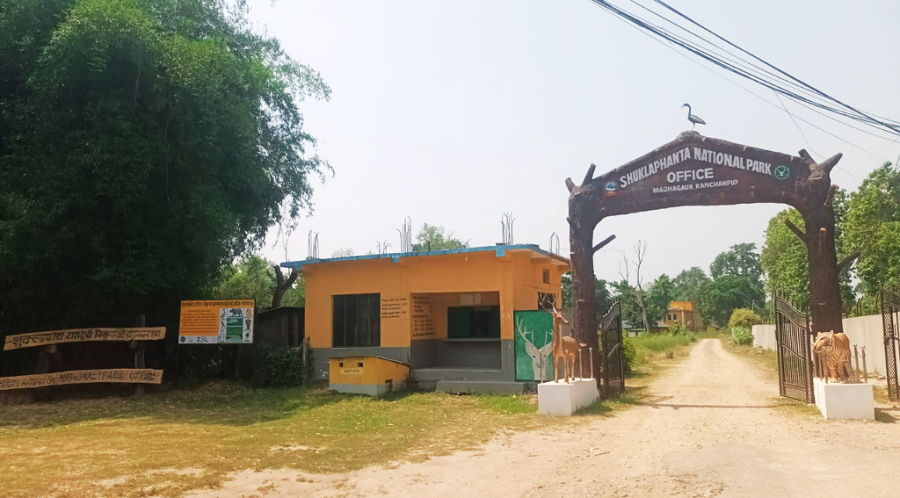 कञ्चनपुरमा च्याउ खोज्न गएका १४ महिला सम्पर्कविहीन