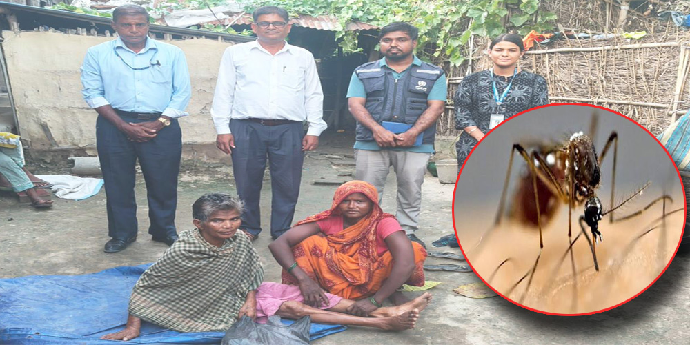 मधेशमा जापानीज इन्सेफ्लाइटिस: १९ सङ्क्रमित, ६ को मृत्यु