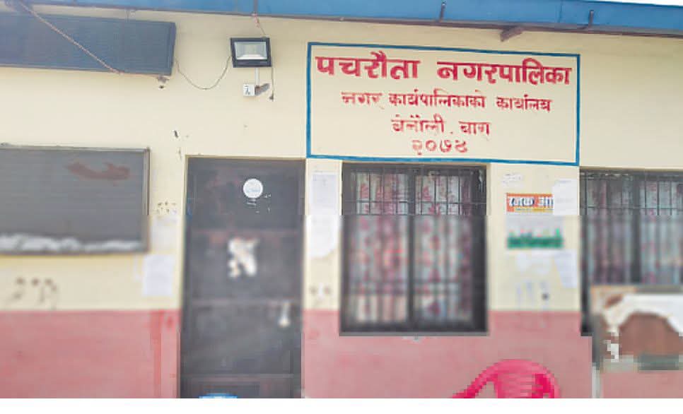 पचरौता नगरपालिकामा लेखा अधिकृतको नियुक्ति विवादमा, १७ दिनमा चार दिन मात्रै हाजिर भएको खुलासा