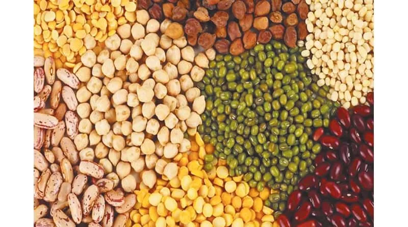 वीरगञ्ज हुँदै ६ महिनामा सात अर्ब ६४ करोडको दलहन भित्रियो