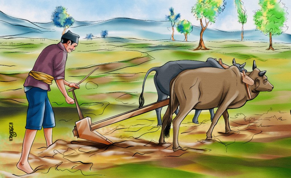 मधेसका किसानले अनुदान पाउने
