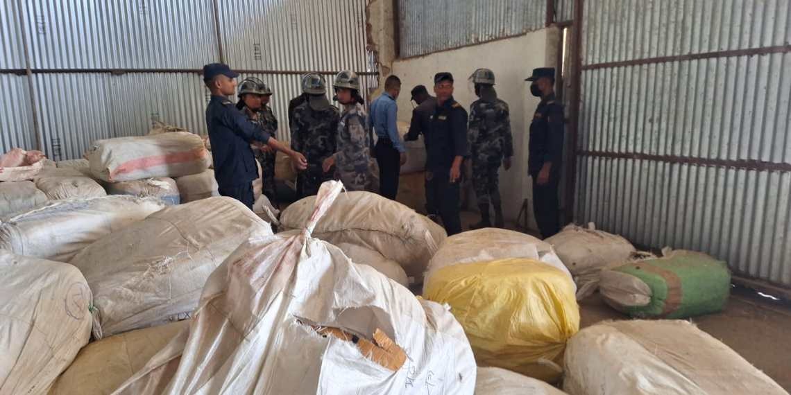 स्याउ गोदामबाट फेला पर्‍यो तिन हजार किलो भन्दा बढी गाँजा