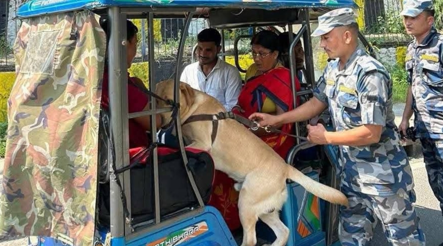 वीरगञ्जमा अवैध प्रवेश रोक्न ‘स्पेसल डग’ परिचालन