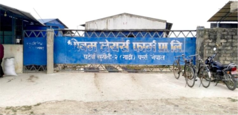 शिवम् लेयर्स फार्मका कारण हजारौं परिवार महामारीको जोखिममा ।