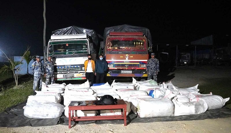 झापाबाट १ हजार ६ सय ३६ किलो गाँजासहित दुई वटा ट्रक नियन्त्रणमा
