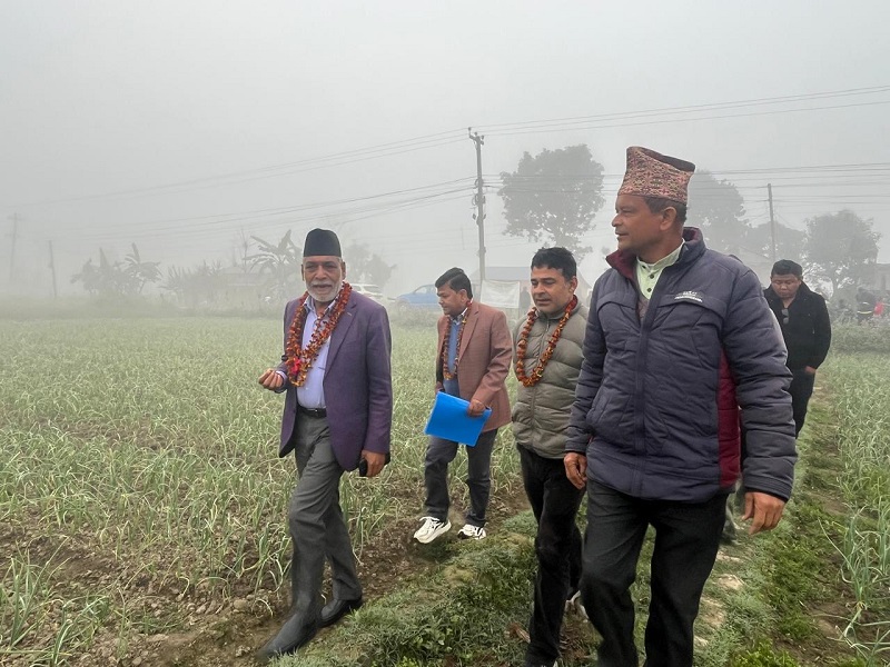कृषि बालीमा धेरै विषादीको प्रयोग नगर्न कृषिमन्त्री अधिकारीको आग्रह