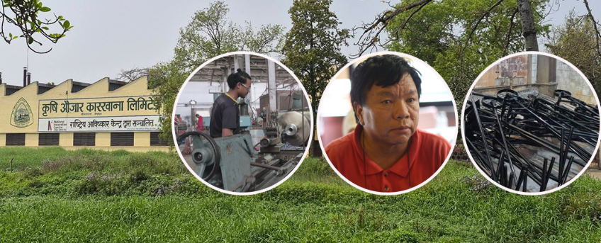 महावीर पुनको नेतृत्वमा सञ्चालित कृषि औजार कारखानामा उत्पादन भएका उपकरण धमाधम बजारमा