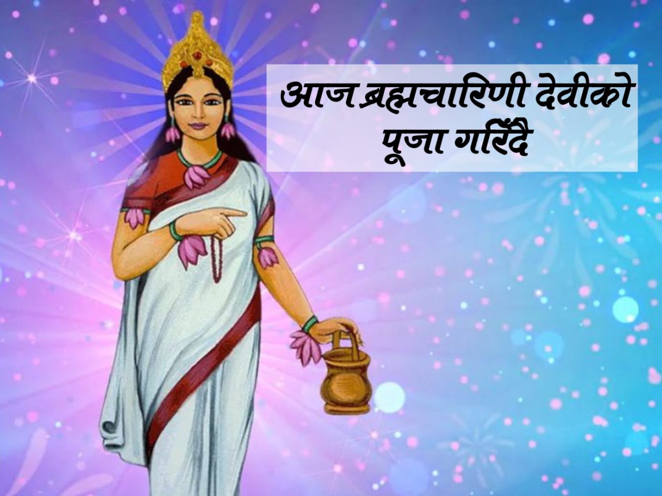 नवरात्रको दोस्रो दिन : ब्रह्मचारिणी देवीको पूजाआराधना गरिँदै