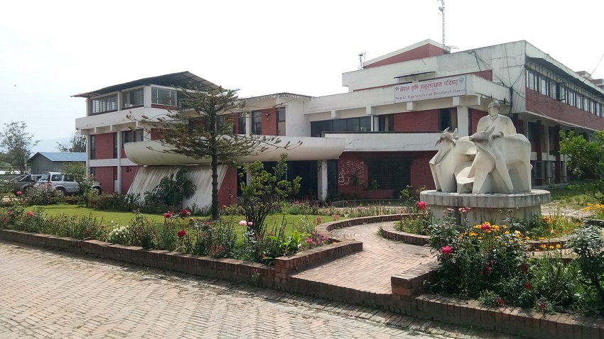 तराईका युवा उद्यमी किसानका लागि आवासीय कृषि यान्त्रिकीकरण तालिम सञ्चालन