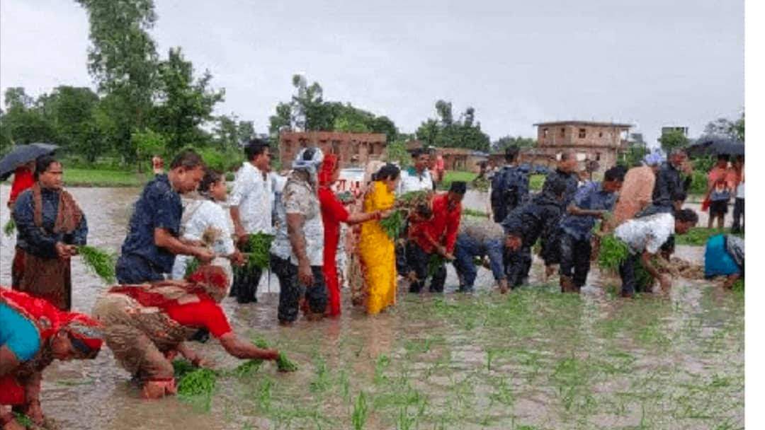 किसानलाइ पालिकाले सहयोग गर्छ : पटेर्वा सुगौलीका अध्यक्ष चौधरीको प्रतिबद्धता