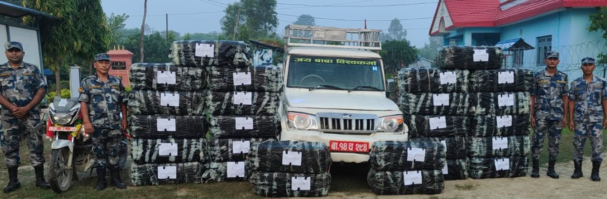 मधेशमा बढ्दो गाँजा ओसारपसार : दुई वर्षमा करिब २० टनभन्दा बढी बरामद, हजारौँ पक्राउ
