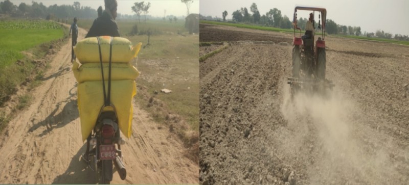 भारतीय बजारको भरमा ग्रामिण किसान धानको बिउ छर्ने बेला मल र बिउको अभाव