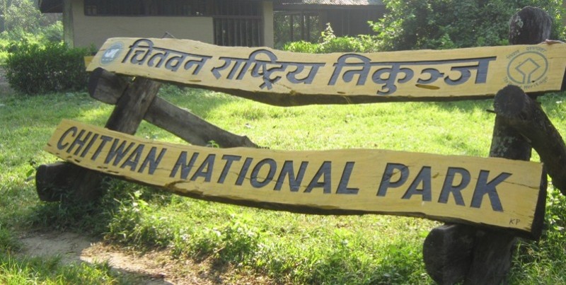 चितवन राष्ट्रिय निकुञ्जमा आजदेखि जीप सफारी बन्द