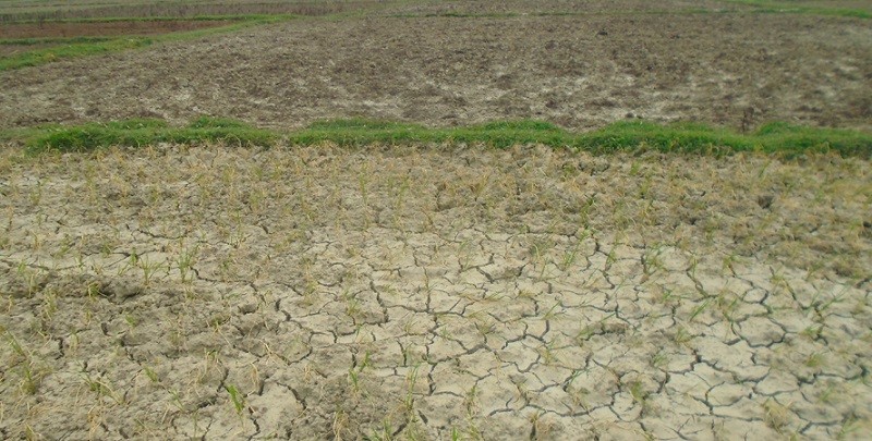 मधेश प्रदेश सुक्खाग्रस्त क्षेत्र घोषणा