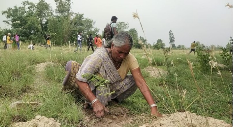 अतिक्रमित वन खाली गराएर वृक्षरोपण