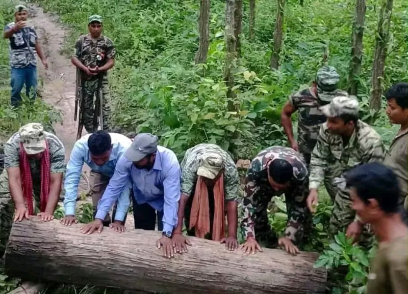 बारामा ठूलो परिमाणमा सालको काठसहित एक तस्कर पक्राउ