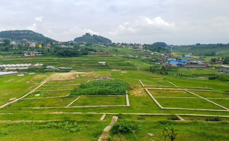भूमि अध्यादेशमा घरजग्गा व्यवसायीले हदबन्दीभन्दा बढी जग्गा बिक्री गर्न पाउने व्यवस्था