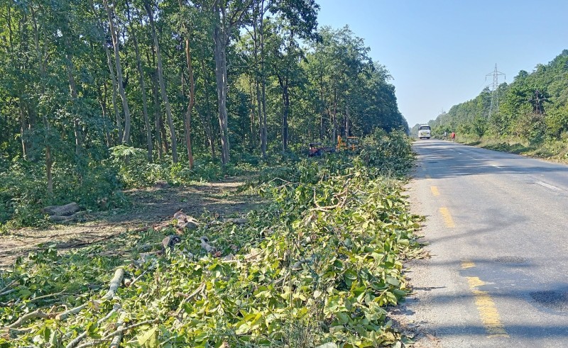 राजमार्ग बिस्तार : साढे ११ हजार रुख कटान आदेश