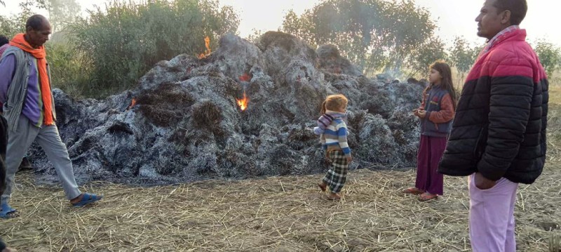 महोत्तरीमा १२ कठ्ठा खेतको धानमा आगजनी
