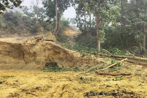 संघीयतापछि पनि मधेसमा रोकिएन वन अतिक्रमण, फिर्ता ल्याउनै सकस