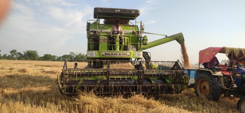 पर्सामा गहुँ उत्पादन घट्दा किसानहरु मारमा, मूल्यसमेत सन्तोषजनक छैन