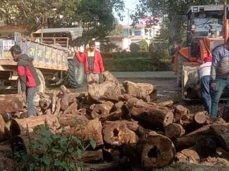चिसो छल्न रामग्राम नगरपालिकाले गरे वितरण दाउरा ।