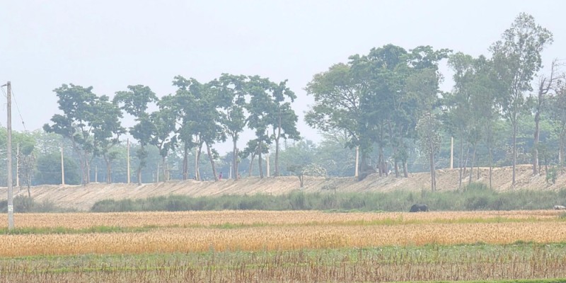 सीमा क्षेत्रको बाँध अग्लो बनाउँदा, गौर डुबानको जोखिममा