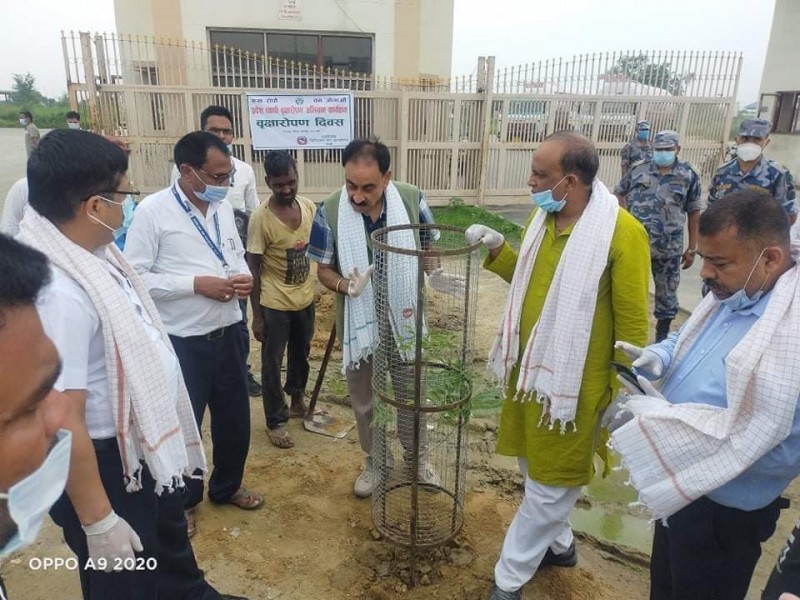 राष्ट्रिय वृक्षारोपण दिवसको अवसरमा डिभिजन वन कार्यालय पर्सा द्वारा वृक्षारोपण।