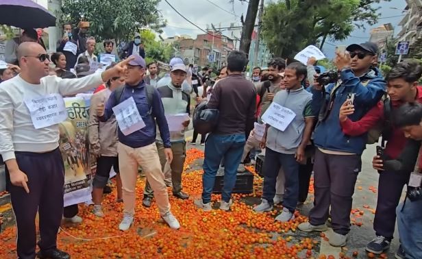 सडकमा गाेलभेँडा फ्याँकेर प्रदर्शन