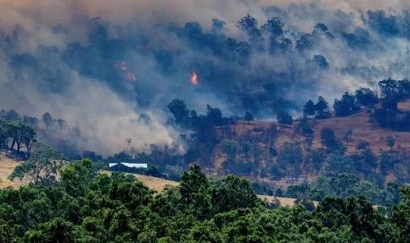 अस्ट्रेलियामा डढेलोमा परी १ जनाको मृत्यु, ३०० बढी घर जले