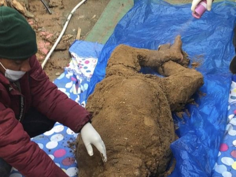 महिलाको शव घरभित्र पुरेको अवस्थामा फेला‚ श्रीमान पक्राउ।