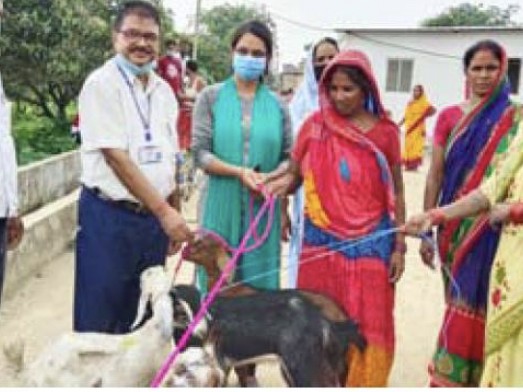 पोखरिया नगरपालिकाका ६० जना महिलालाई बाख्रा वितरण।
