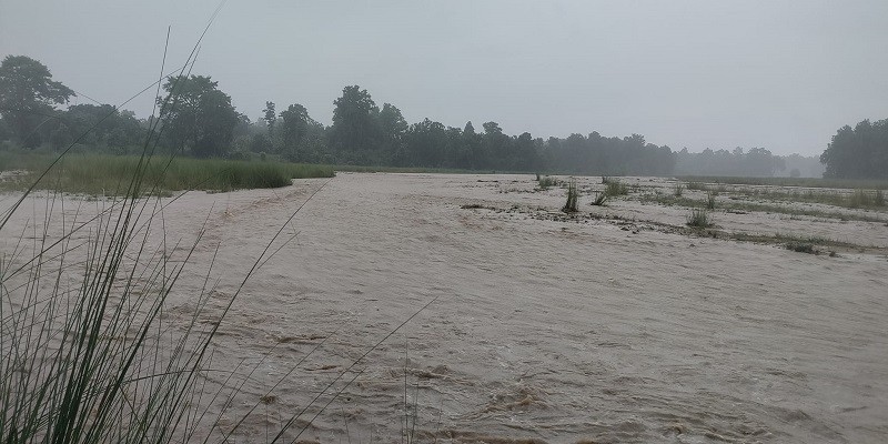 घाँघर खोलामा आएको बाढीले चितवनको माडी–ठोरी सडक अवरुद्ध