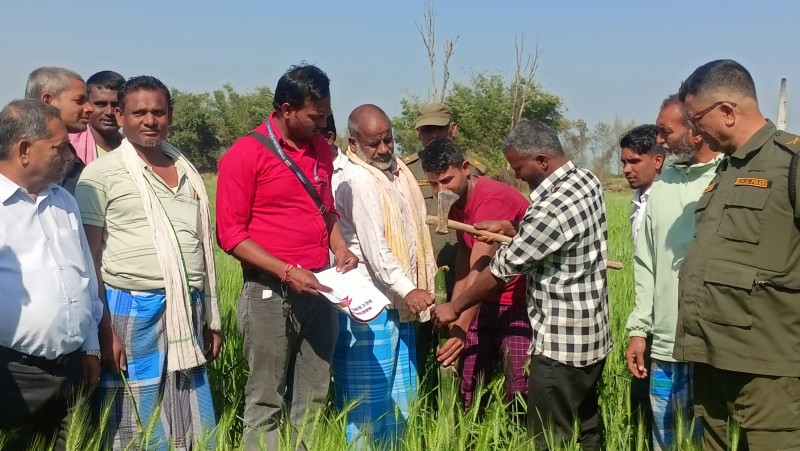 वेल्वामा व्यक्तिले कब्जा गरेको २ विघा सार्वजनिक जग्गा महानगरले ल्यायो आफ्नो अधिनमा 