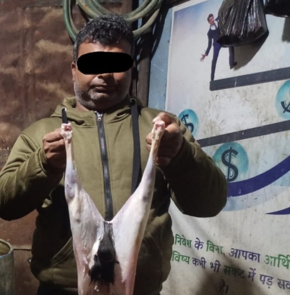 खसीको भनी बाख्राको मासु बेच्ने अन्सारी पक्राउ