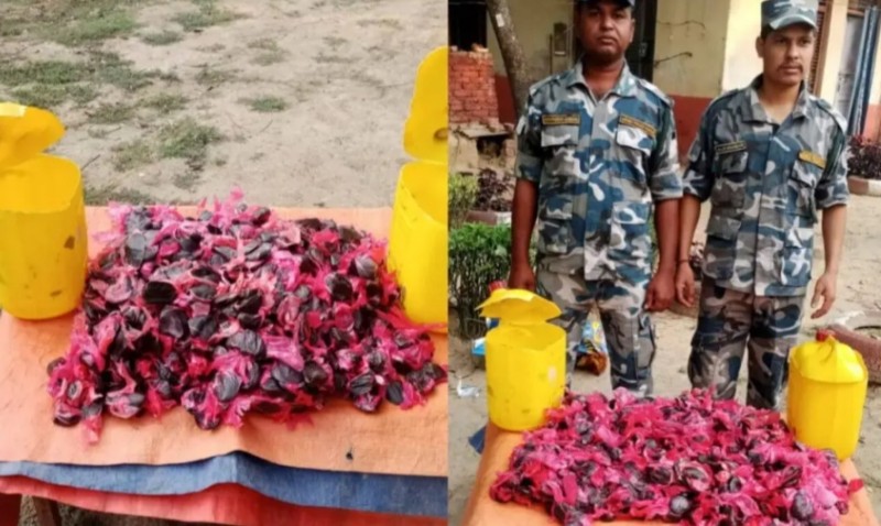 पर्सा प्रहरीद्वारा २४ किलो भन्दा बढी चरेस बरामद