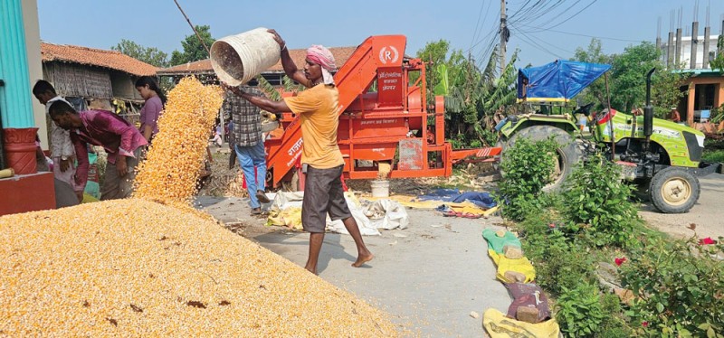 मकै नङ्ग्याउन र छोडाउन मेसिन