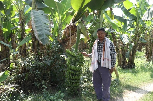 ५ वर्ष मलेसियामा बिताएका सर्लाहीका इन्द्रलाल बम केराखेतीबाट मनग्गे आम्दानी गर्दै