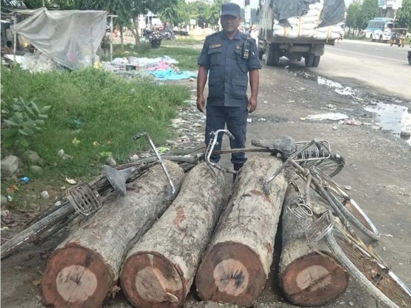 चन्द्रनिगाहपुरबाट सालको गोलियासहित साईकल बरामद।
