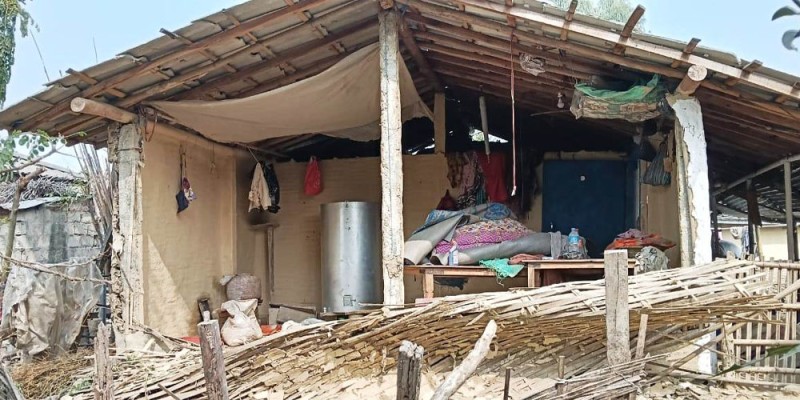 हात्ती आतङ्कले दर्जनौं घरमा क्षति