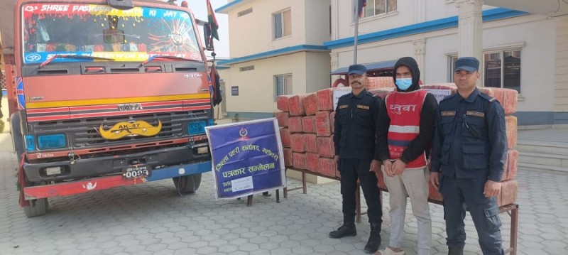 जलेश्वरबाट छ सय किलो गाँजासहित एक जना पक्राउ