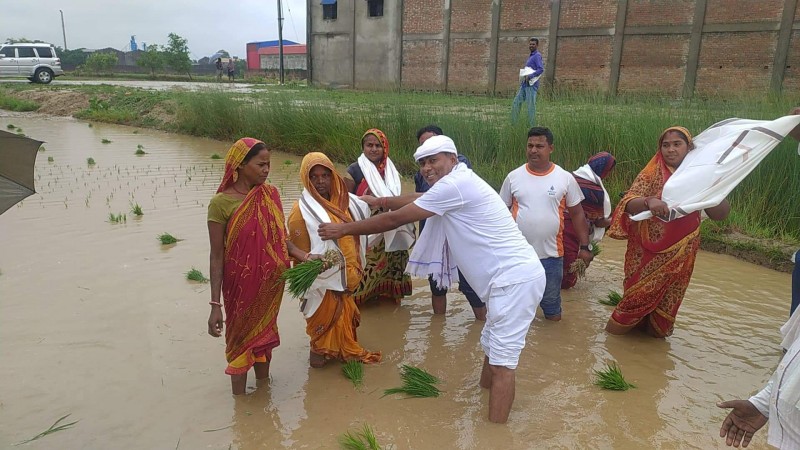 प्रसौनी गाउँपालिकाका अध्यक्ष पटेलले  खेतमै पुगेर किसानलाई सम्मान गरे