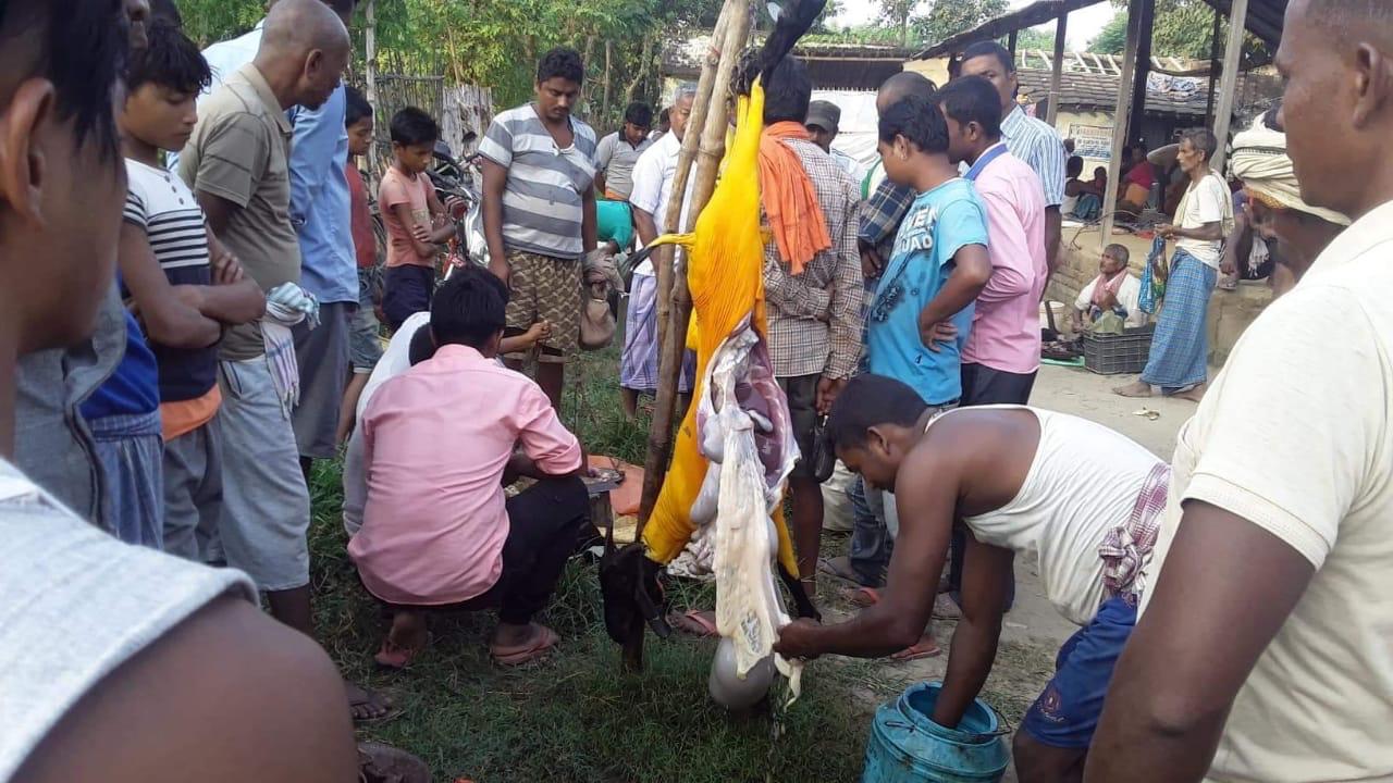 पर्सा को ग्रामिण भेगका उपभोक्ताहरू फोहर र अस्वस्थ्यकर  माछा मासु खान बाध्य सम्बन्धित निकाय मौन