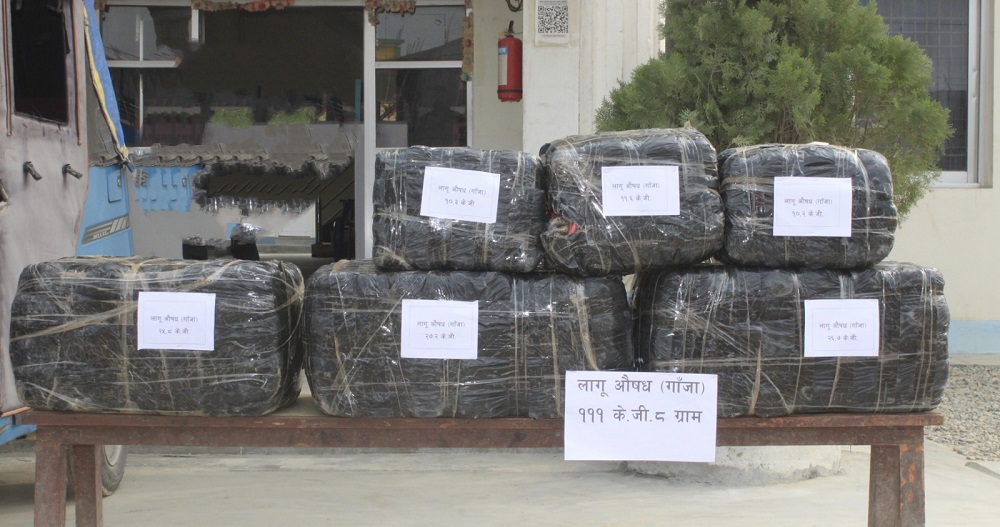 सप्तरीमा एक क्विन्टलभन्दा बढी लागुऔषधसहित दुई पक्राउ